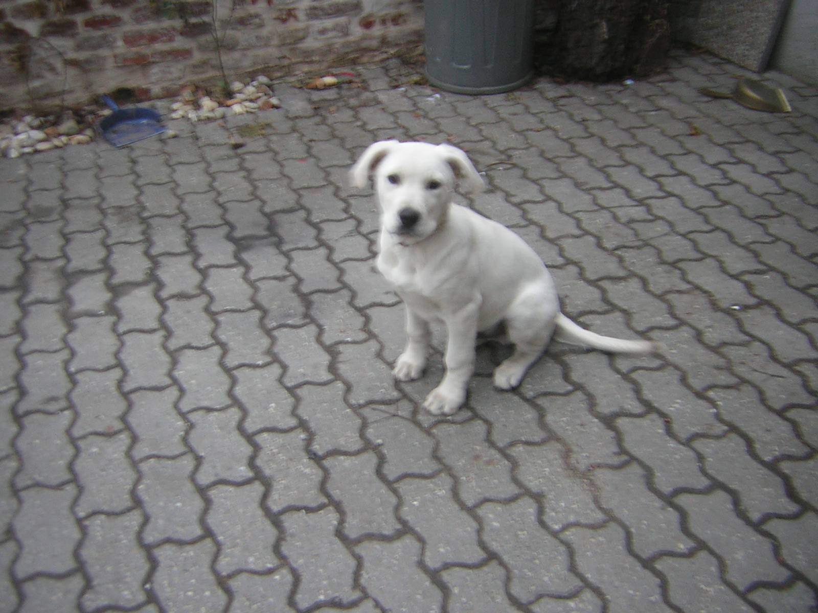 DSCN3083.JPG